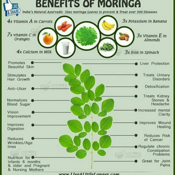 Organic Moringa Capsules - BK ONLINE SHOP