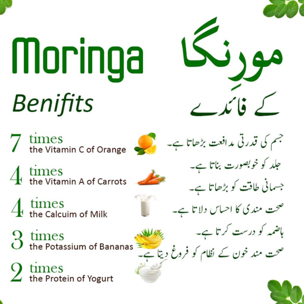 Organic Moringa Capsules - BK ONLINE SHOP